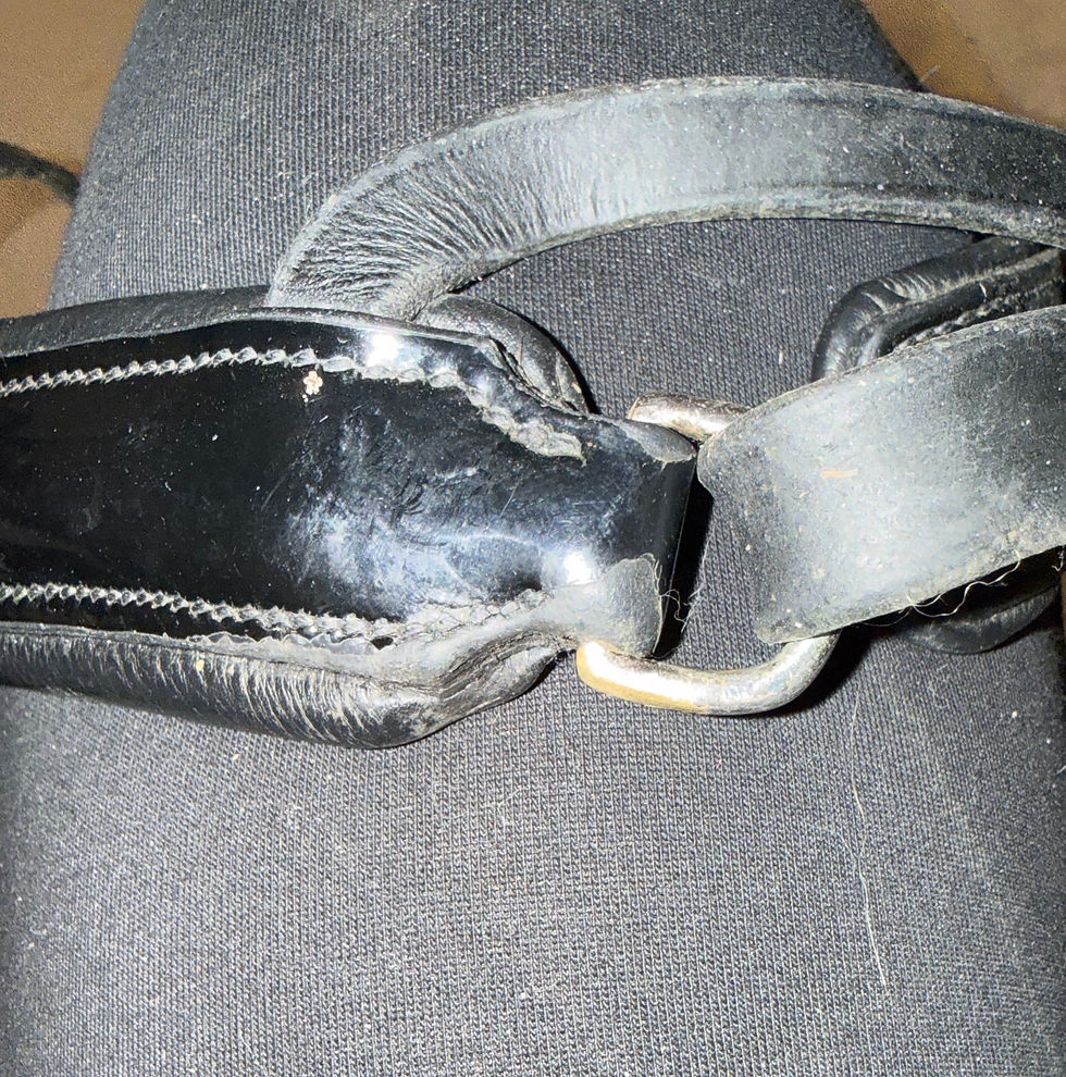 Thumbnail: Full Passier Patent Crank Noseband Bridle Black