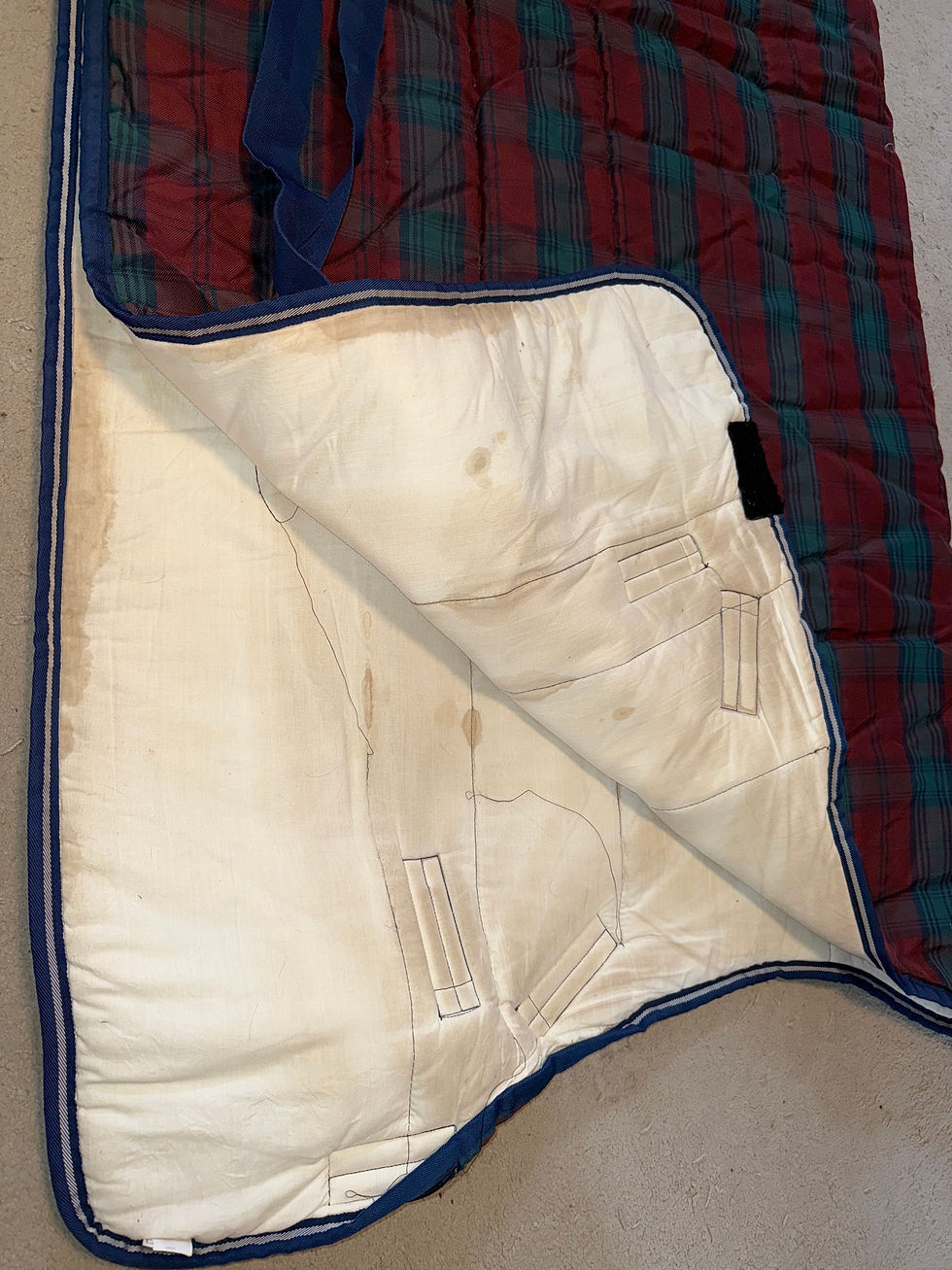 Thumbnail: 6’9 Rhino MW/HW High Neck Stable Rug
