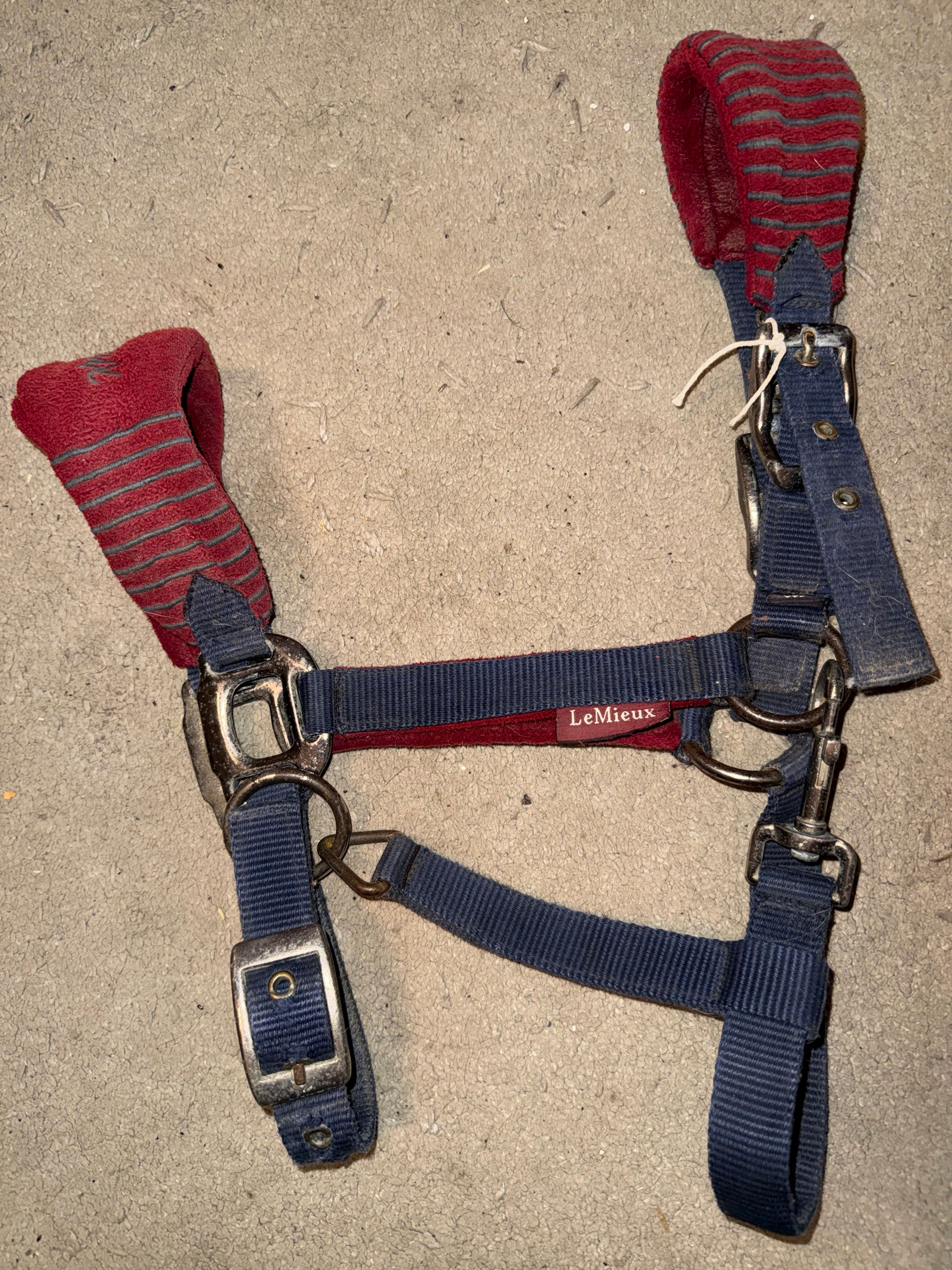 Cob LeMieux Headcollar Navy & Burgundy