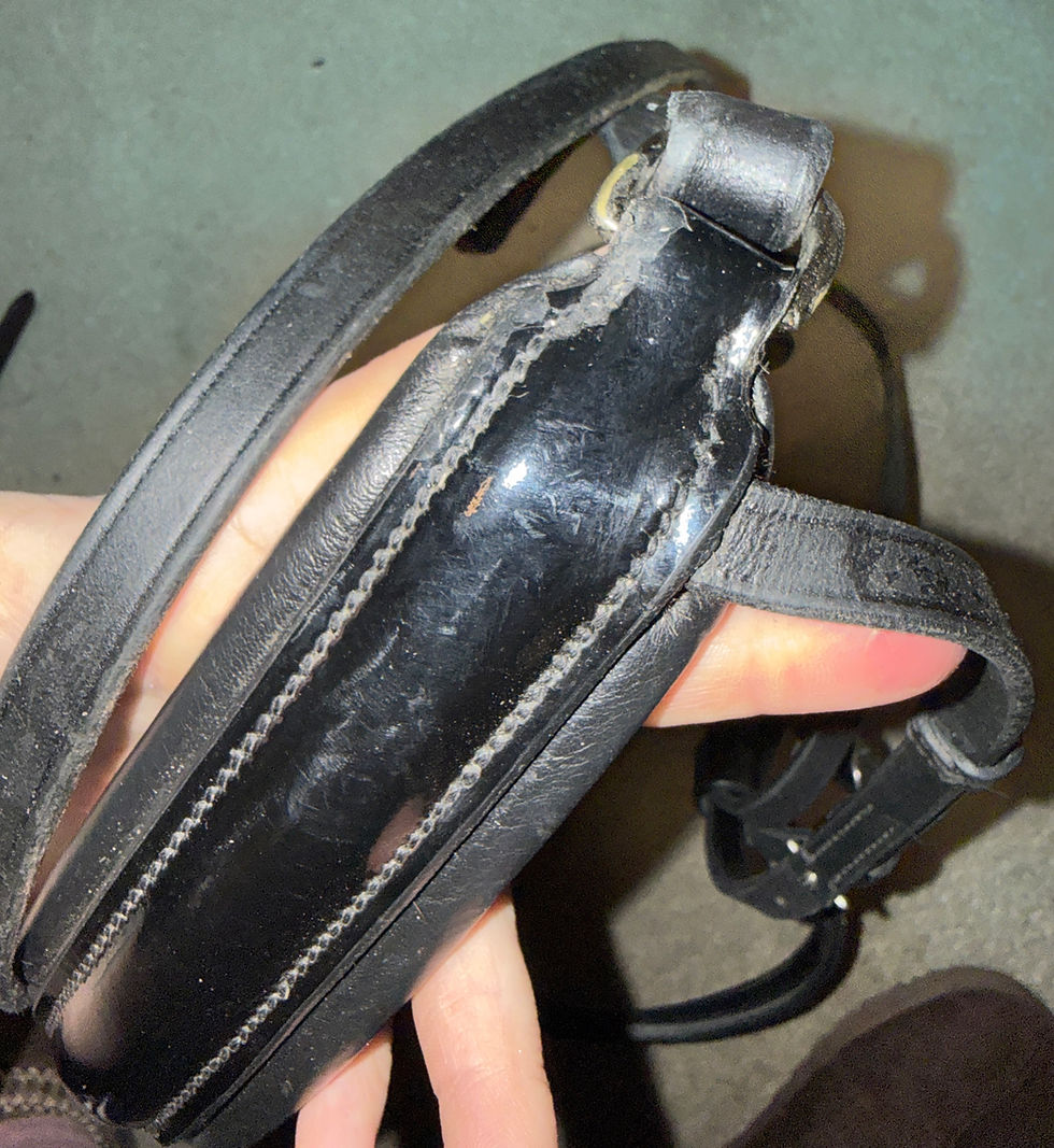 Thumbnail: Full Passier Patent Crank Noseband Bridle Black