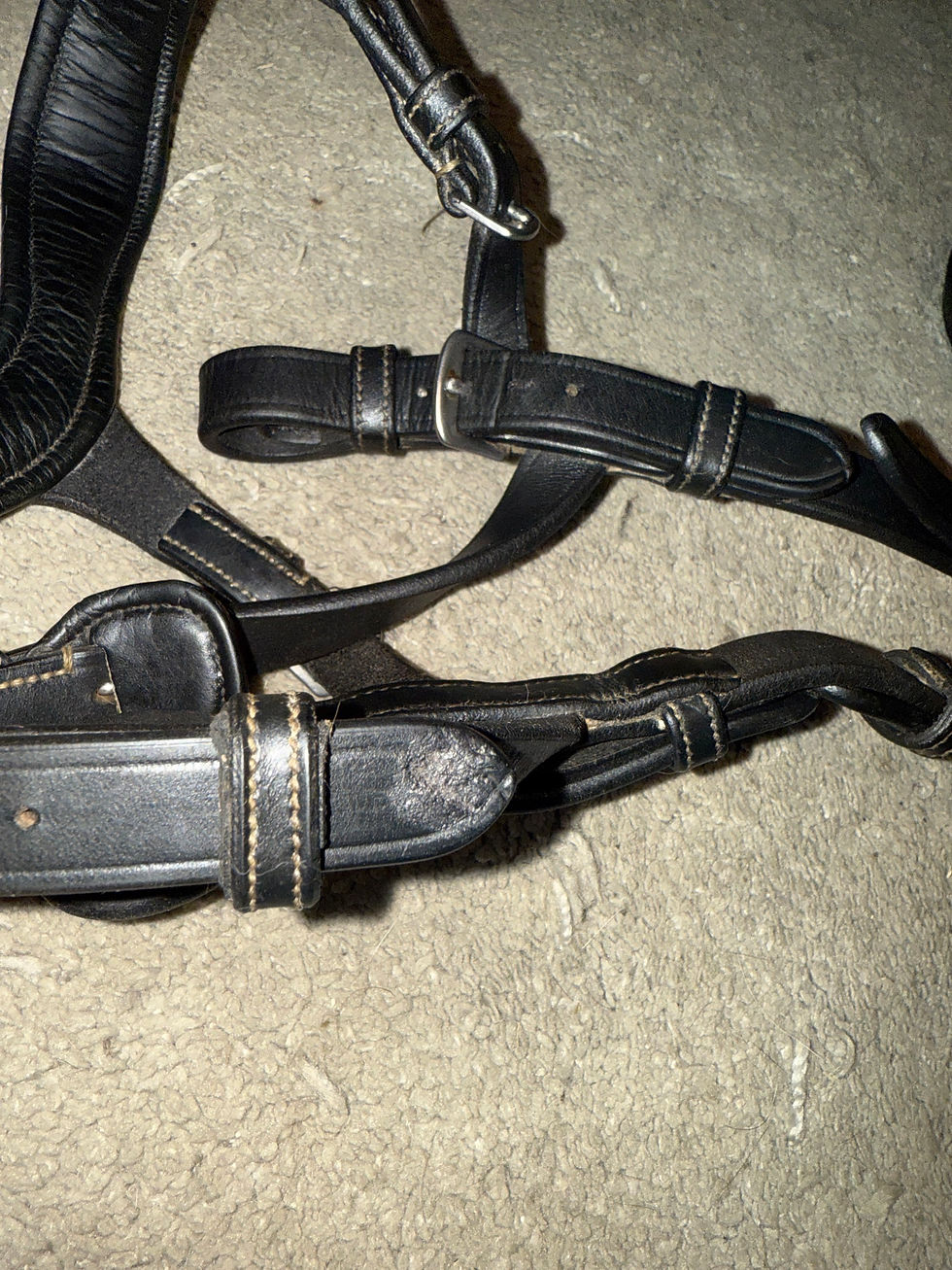 Thumbnail: Full PS of Sweden Nirak Bridle Black on Hot-To-Trot Shop