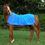 Thumbnail: One Size Equi Cool Down Rug