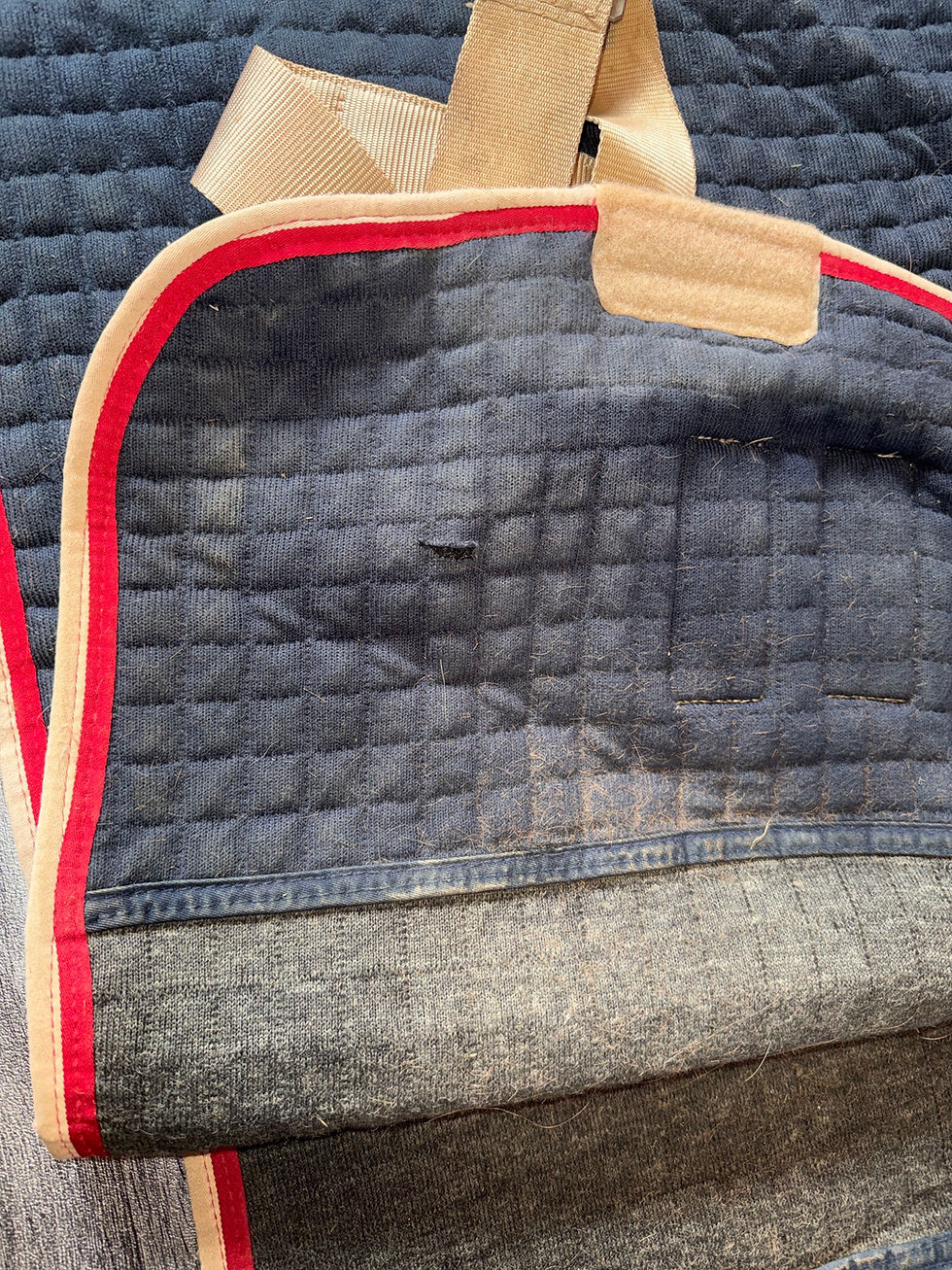 Thumbnail: 6’6 Premier Equine Cooler Rug