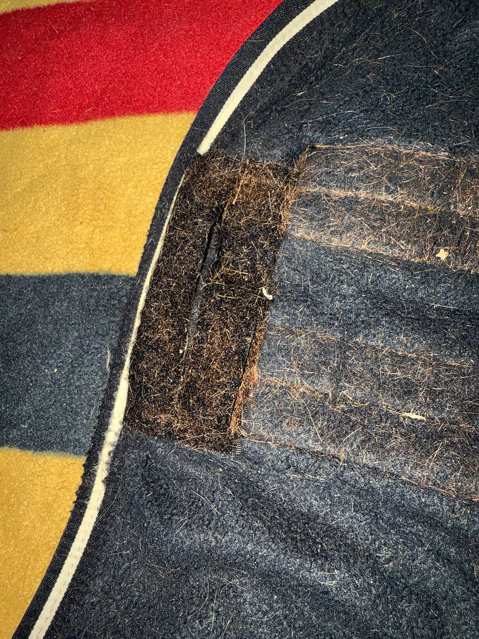 Thumbnail: 6’3 Rambo Newmarket Heavy Fleece Rug