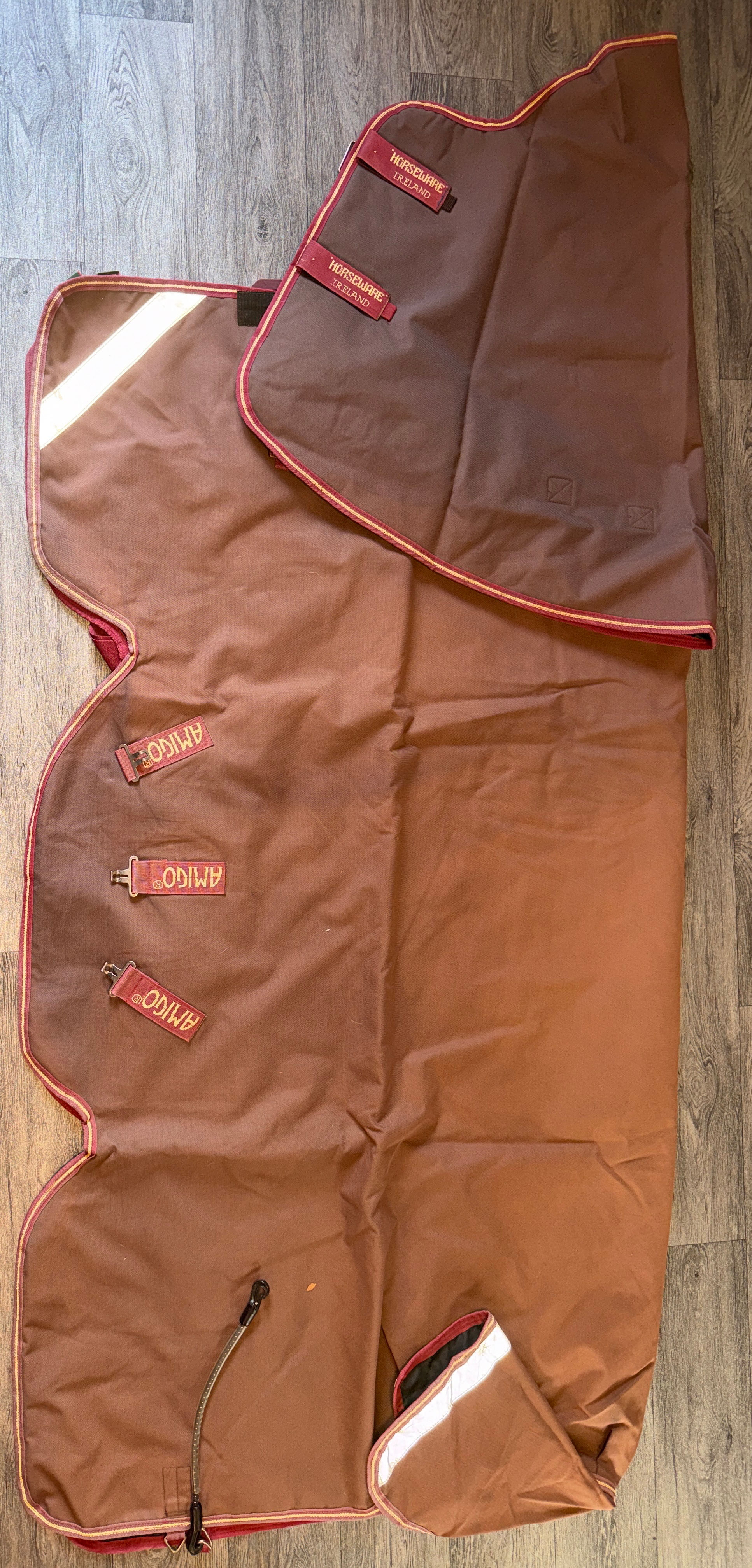 6’0 Amigo 100g Detachable Neck Turnout Rug