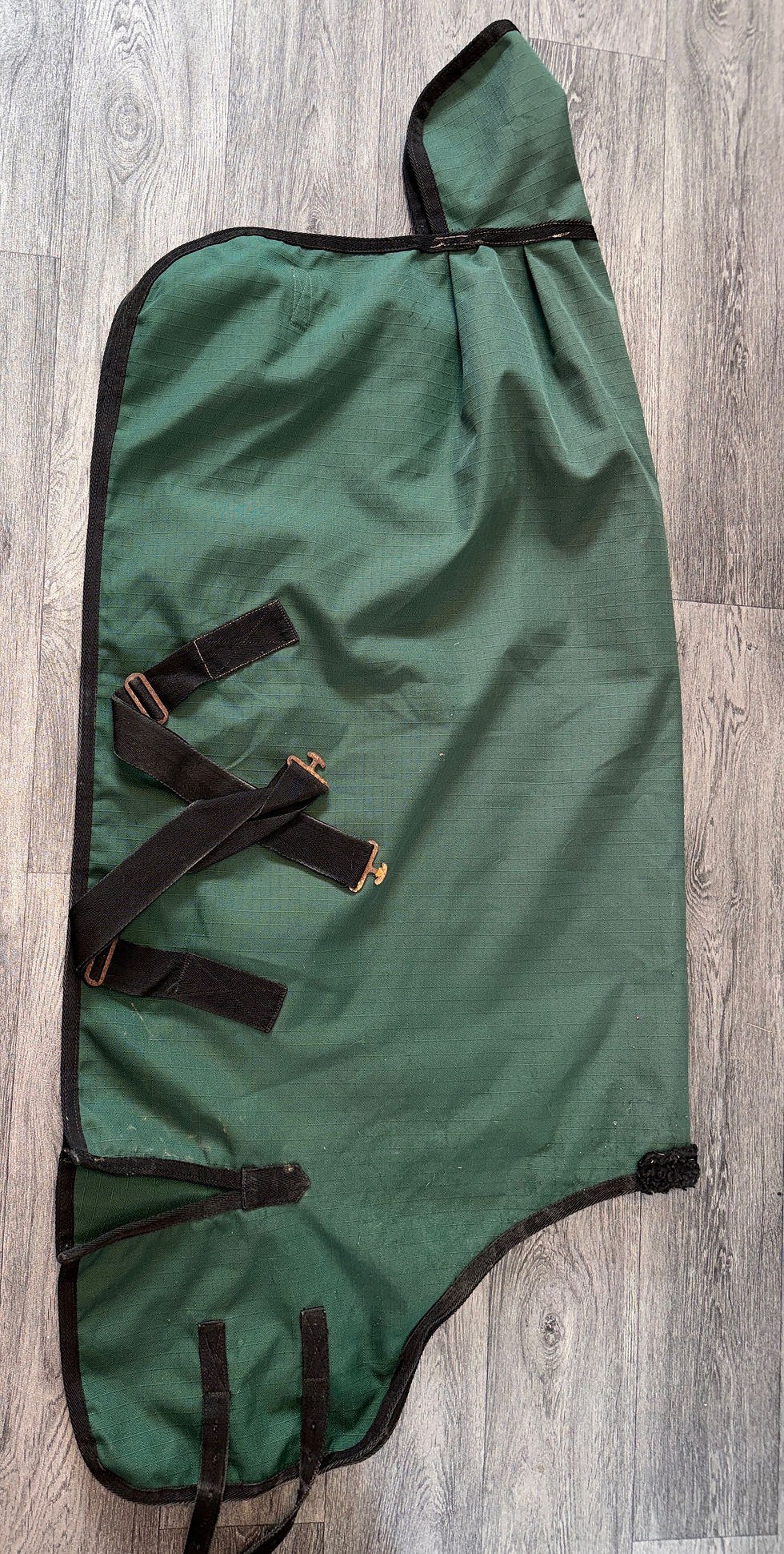 Thumbnail: 4’3 Dinky Rug 0g Turnout Rug