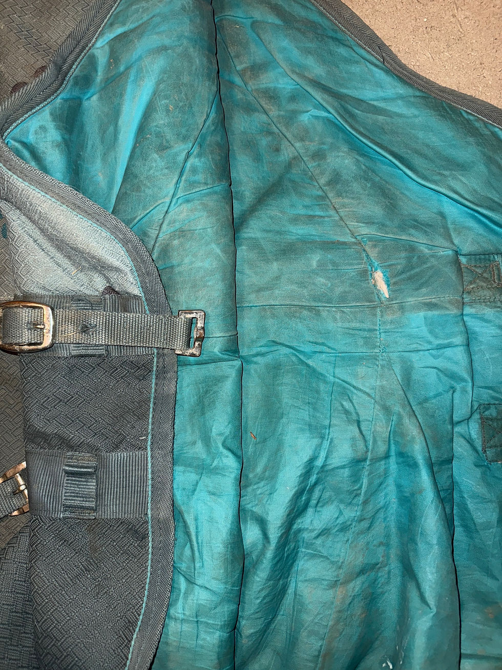 Thumbnail: 7’0 Weatherbeeta HW Detachable Neck Turnout Rug