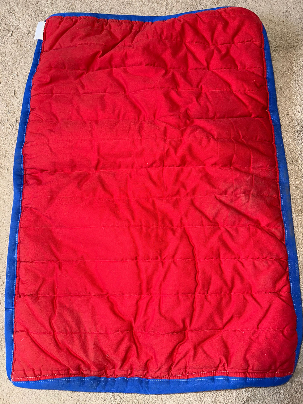 Thumbnail: PolyPads White & Blue Saddle Pad