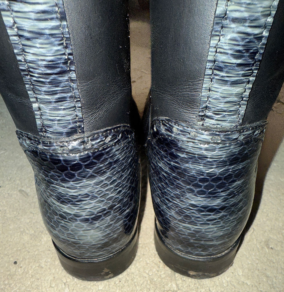 Thumbnail: 5 1/2 Petrie Significant Dressage Boots on Hot-To-Trot Shop
