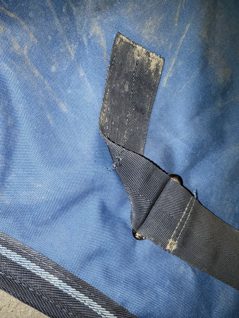 Thumbnail: 6’6 Amigo 50g Turnout Rug