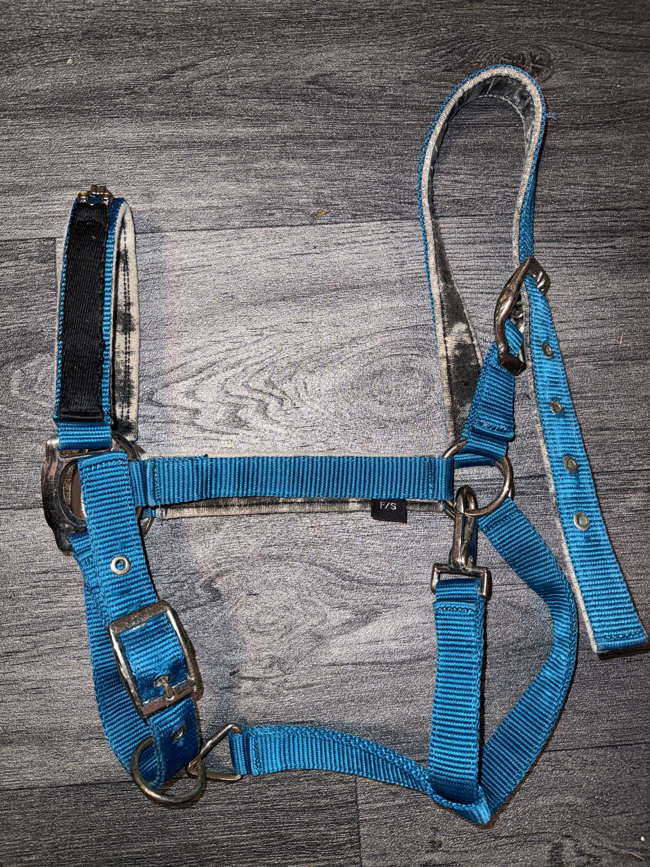Full Headcollar