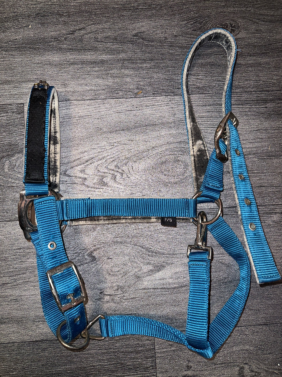Thumbnail: Full Headcollar