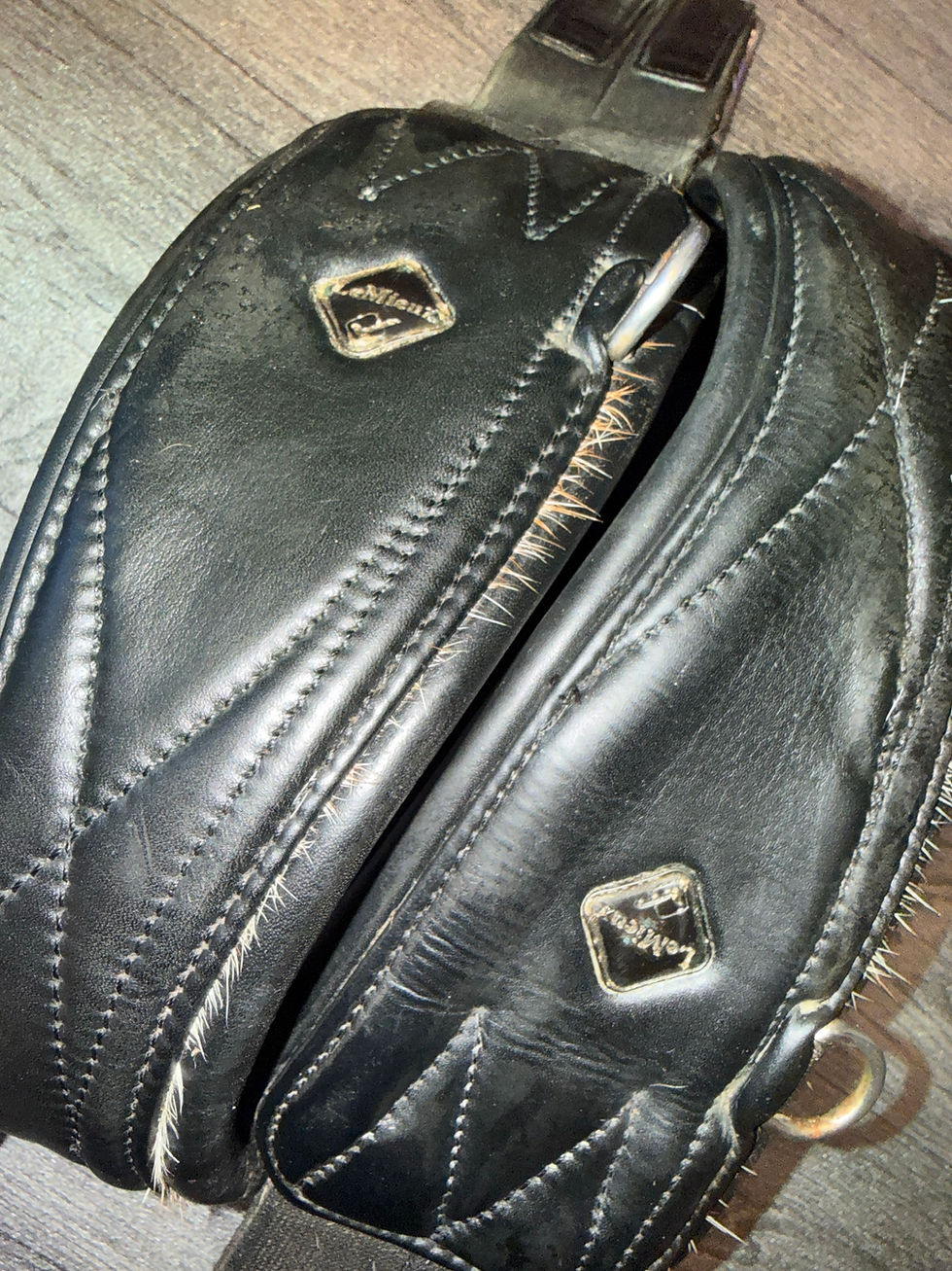 Thumbnail: 53” LeMieux Gel-Tek Anatomic Girth Black