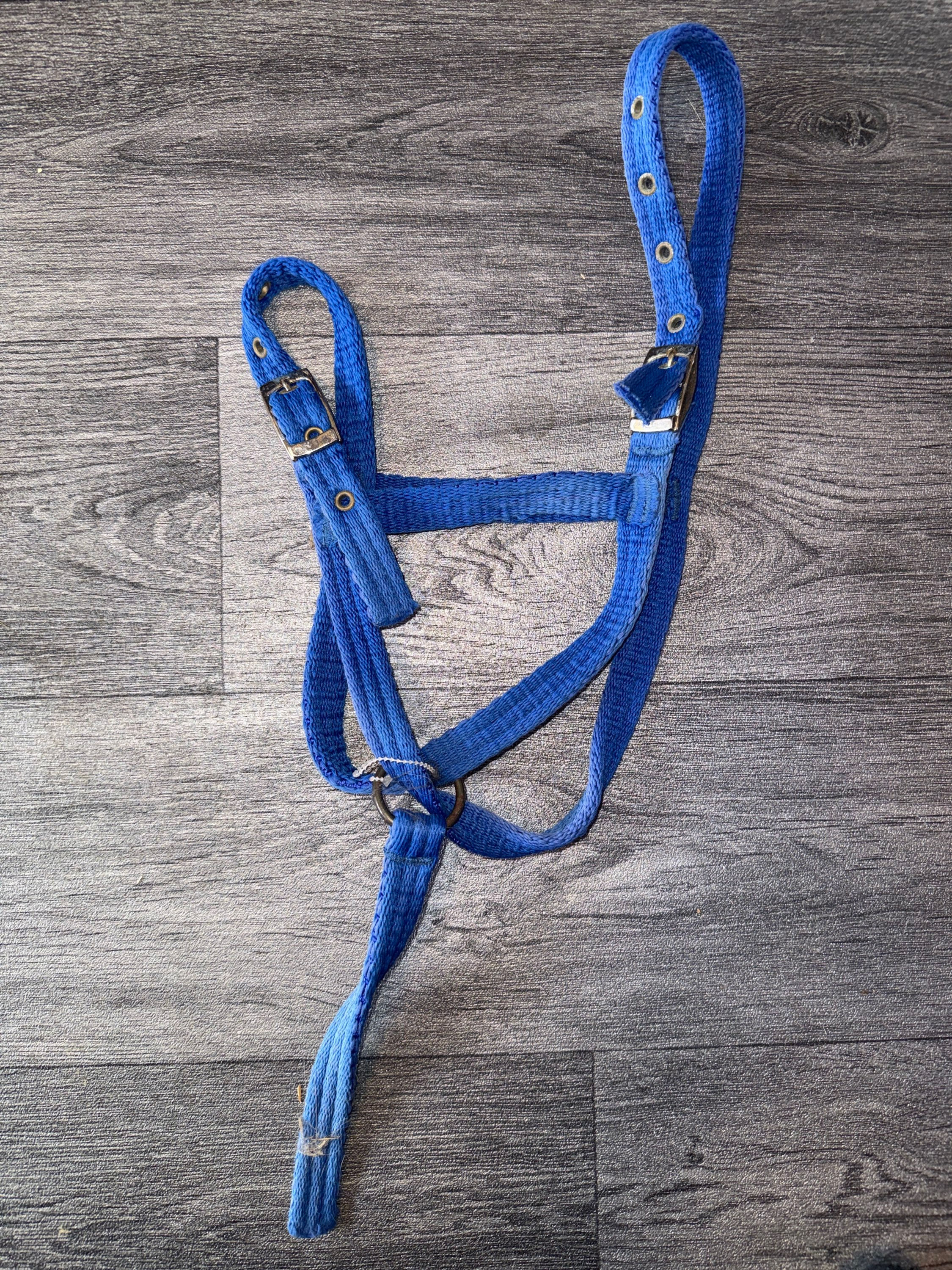 Large Foal Aerborn Headcollar 