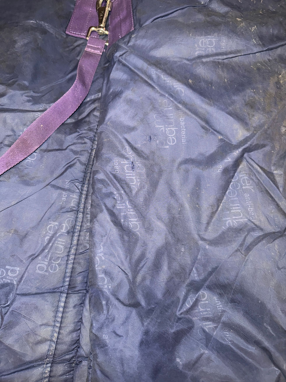 Thumbnail: 6’0 Premier Equine 450g High Neck Turnout Rug