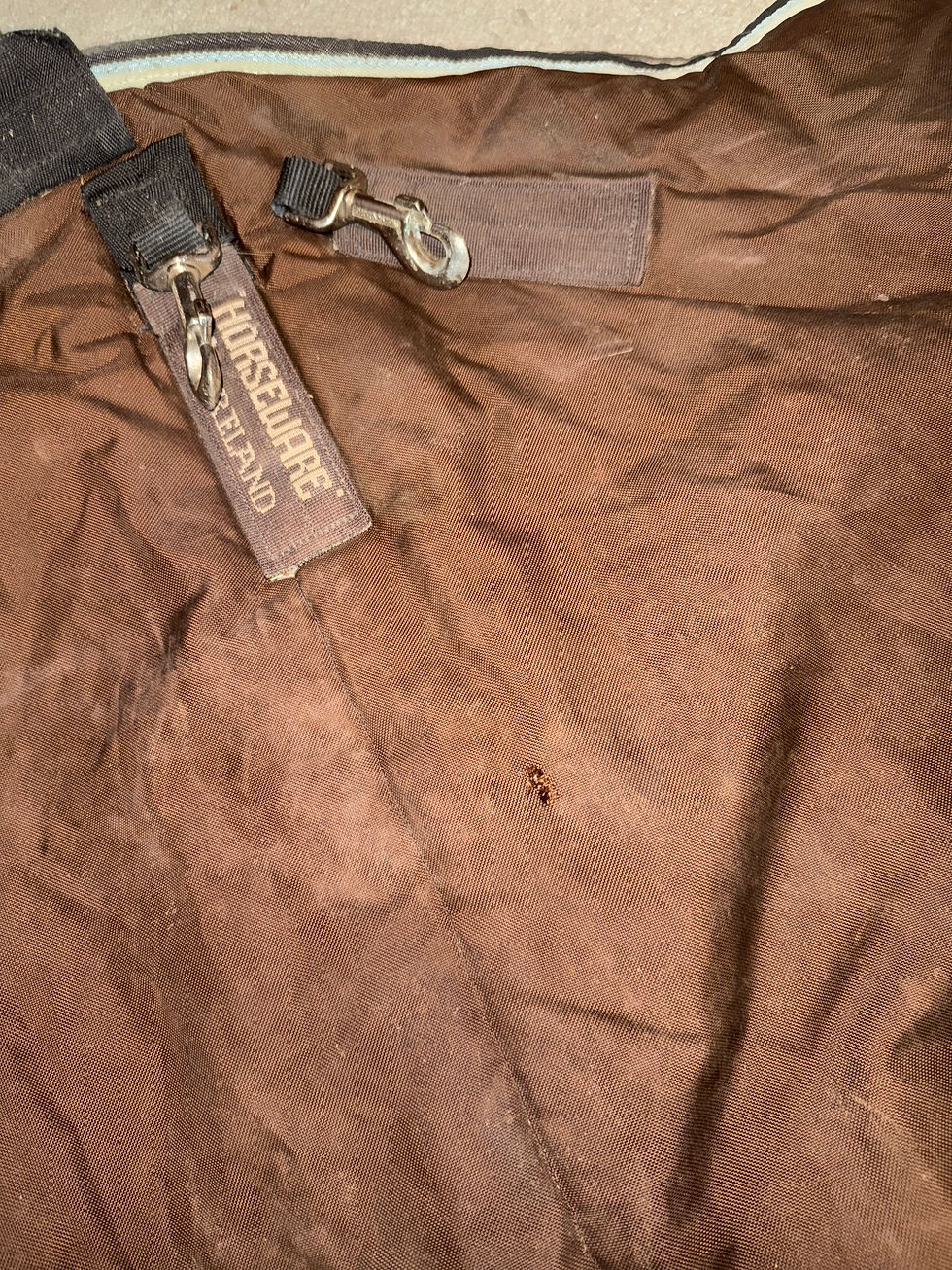 Thumbnail: 7’3 Rambo 370g High Neck Turnout Rug