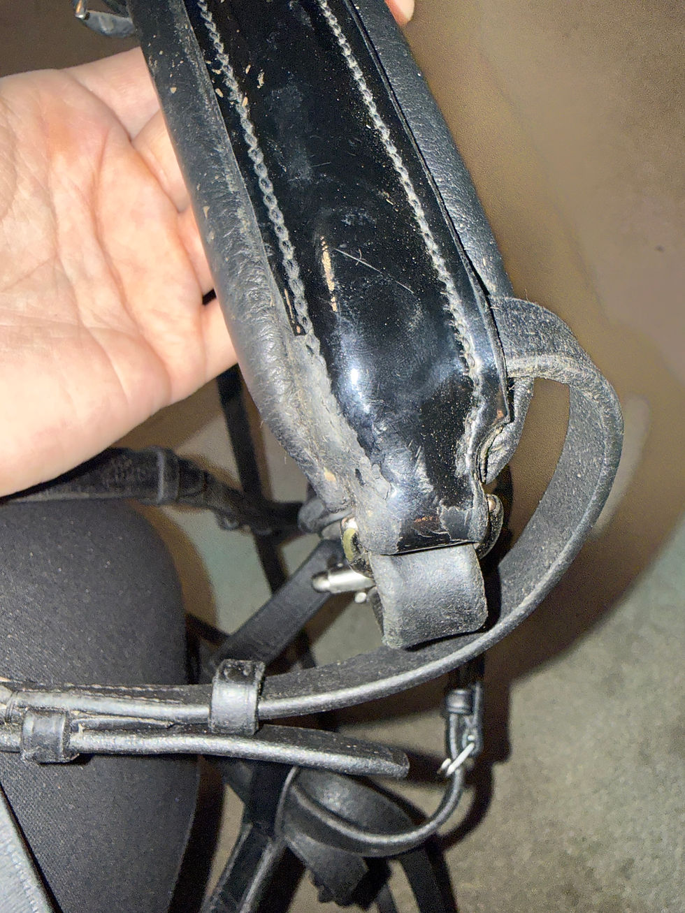 Thumbnail: Full Passier Patent Crank Noseband Bridle Black