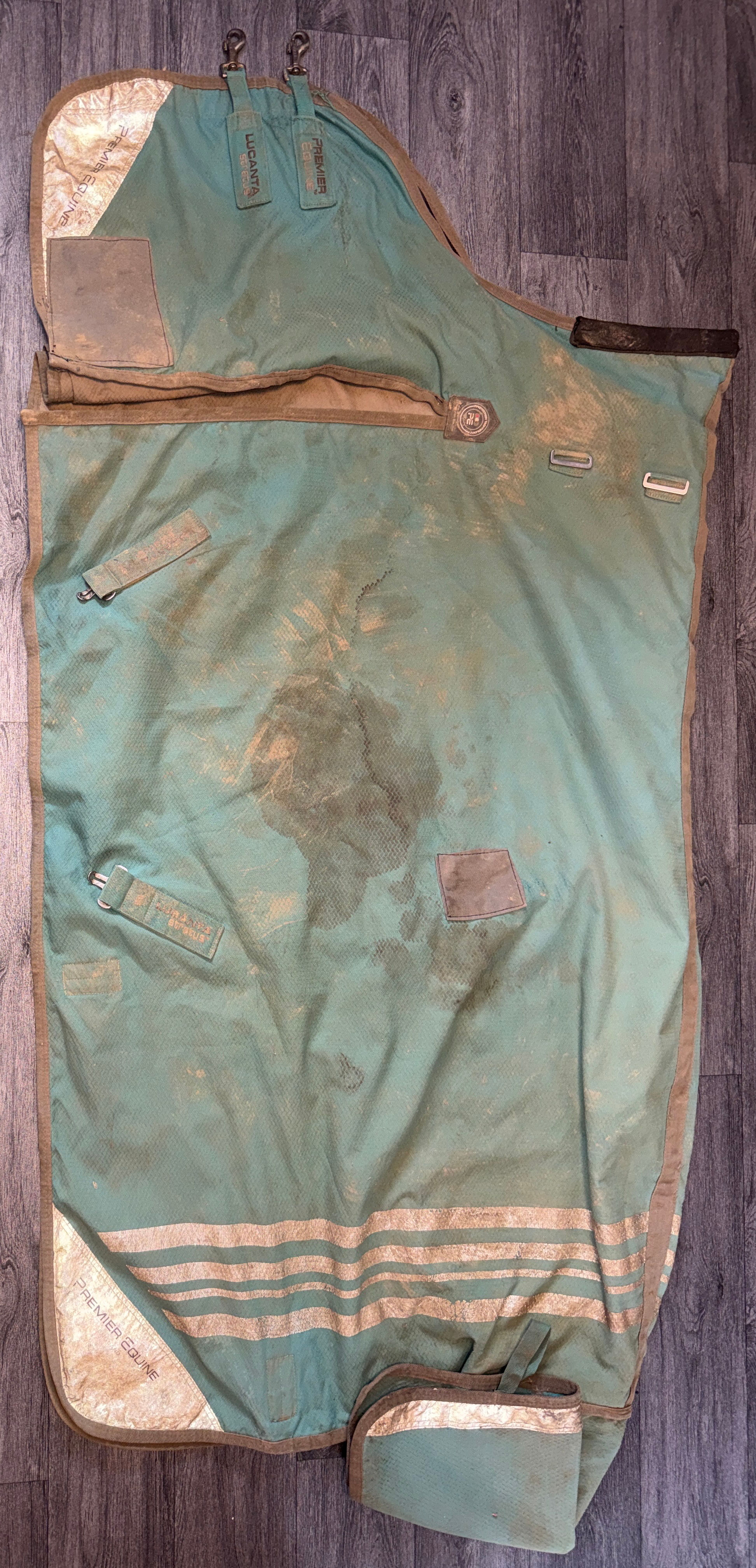 6’3 Premier Equine 0g Turnout Rug