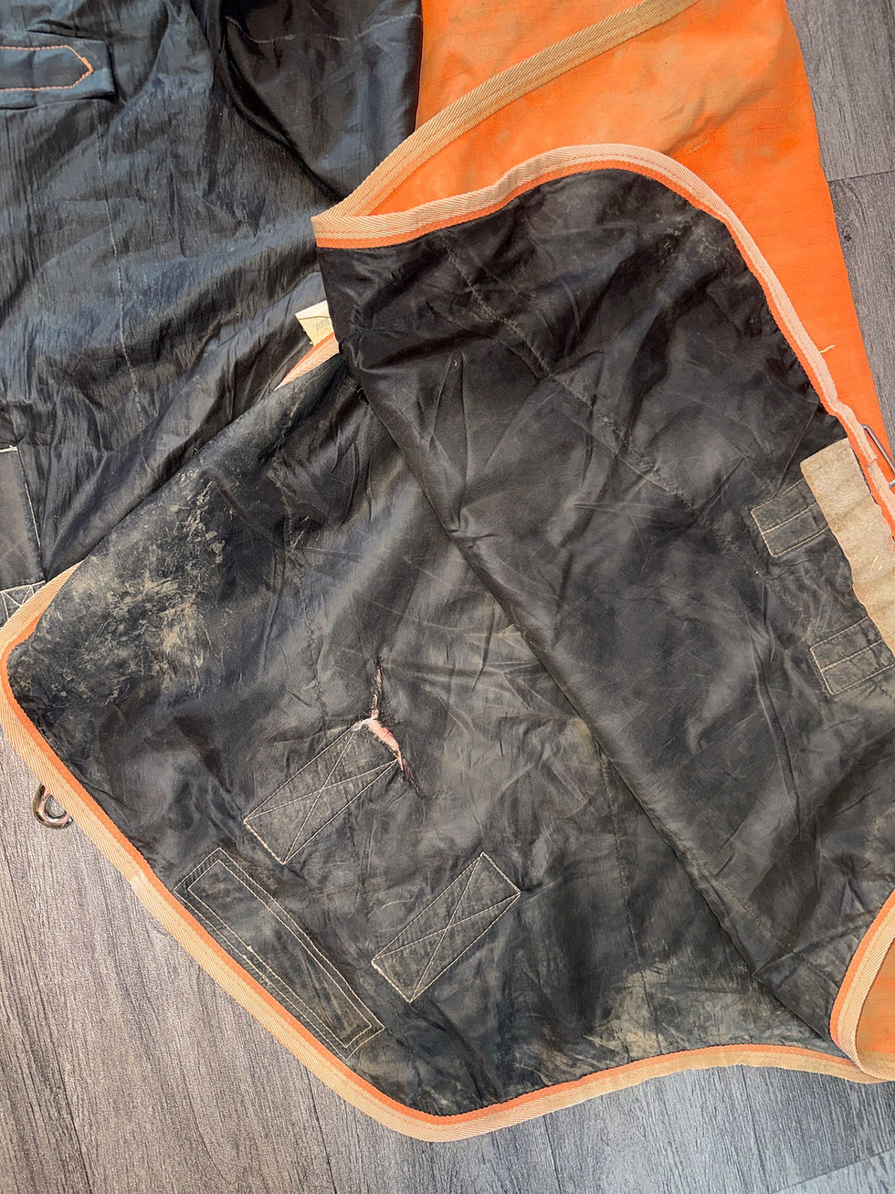 Thumbnail: 6’6 Swish 50g Detachable Neck Turnout Rug