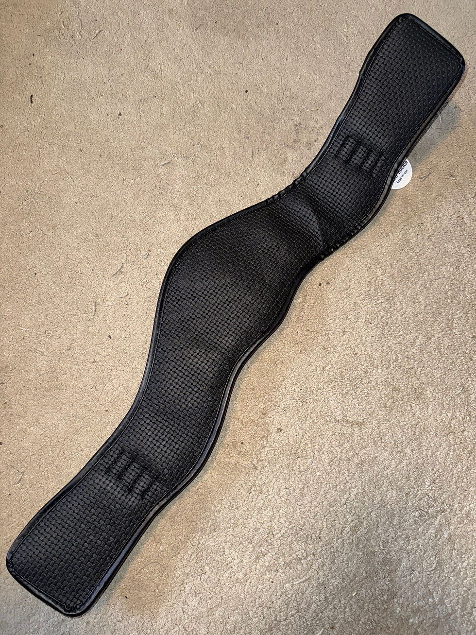 Thumbnail: NEW 24” Collegiate Anatomical Dressage Girth Black