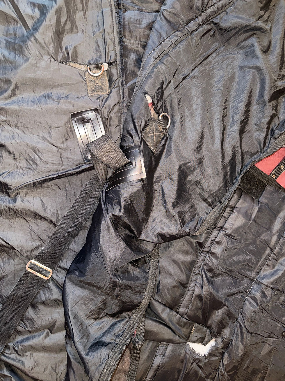 Thumbnail: 6’3 Rhinegold 350g Turnout Rug