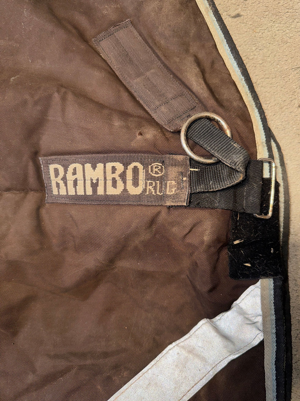 Thumbnail: 7’3 Rambo 370g High Neck Turnout Rug