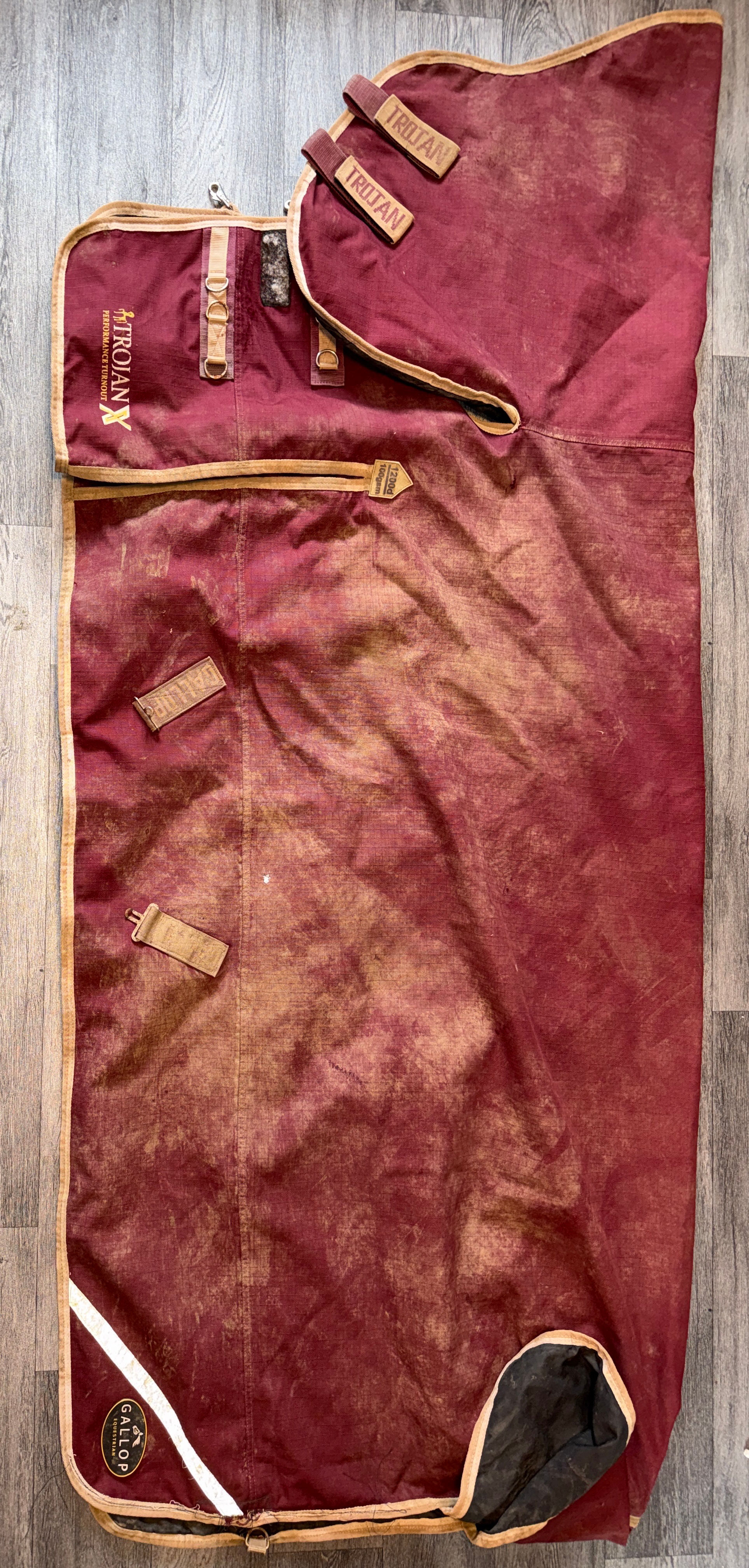 6’3 Gallop 100g Combo Turnout Rug