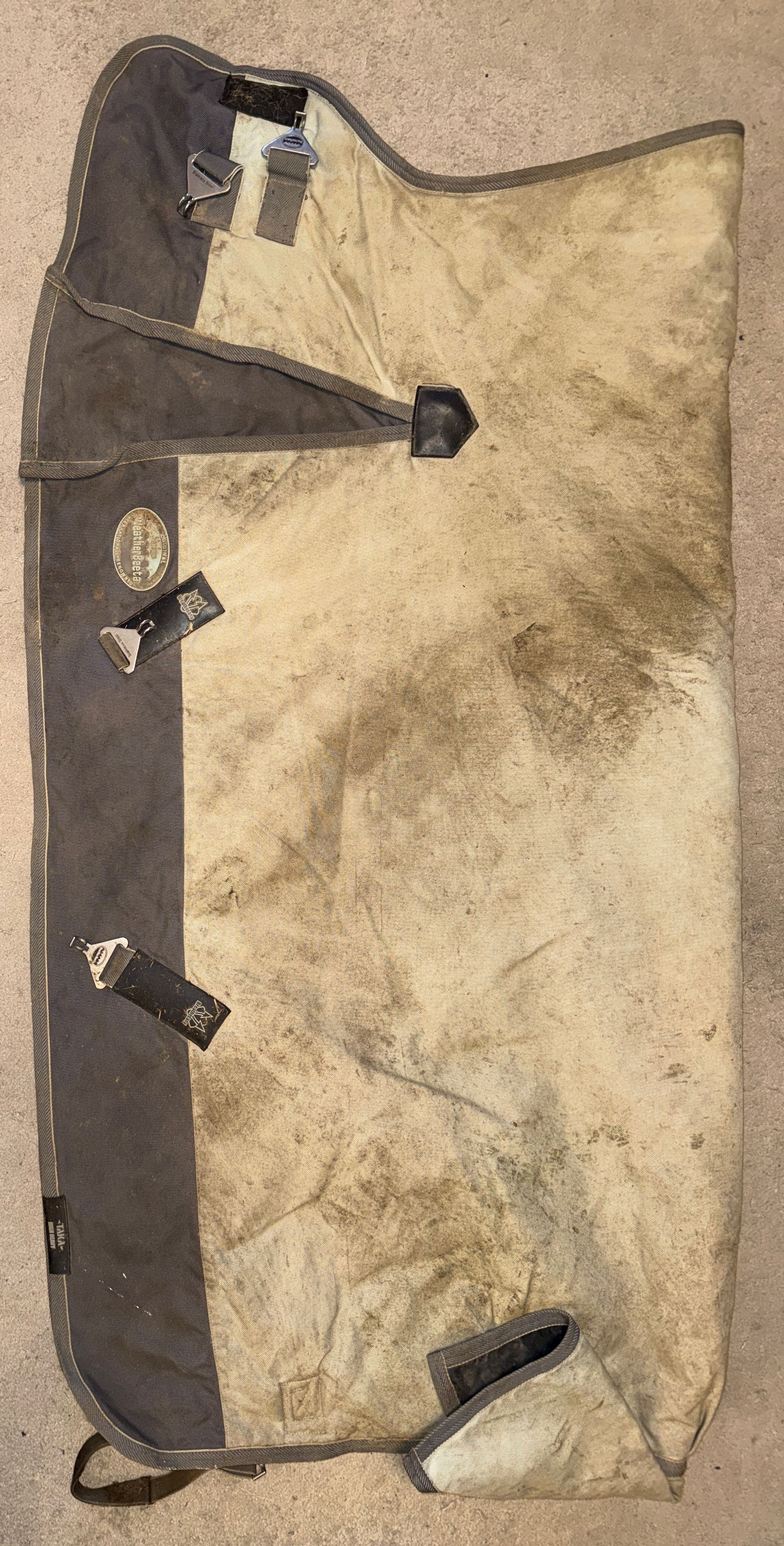 5’3 Weatherbeeta HW High Neck Turnout Rug