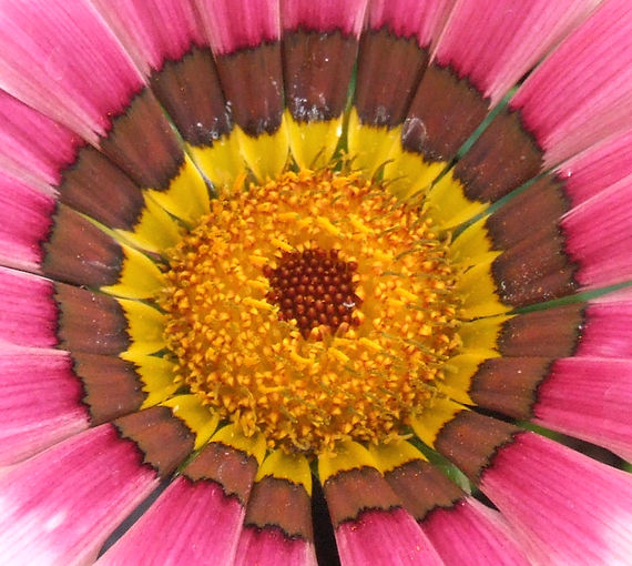 start1 centre amend 3000.JPG