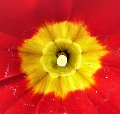 25 good comp amend 3000.JPG