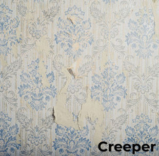 creeo.jpeg