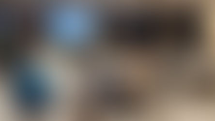 Building a Greener Rexdale Through the SNAP Community Champion Program