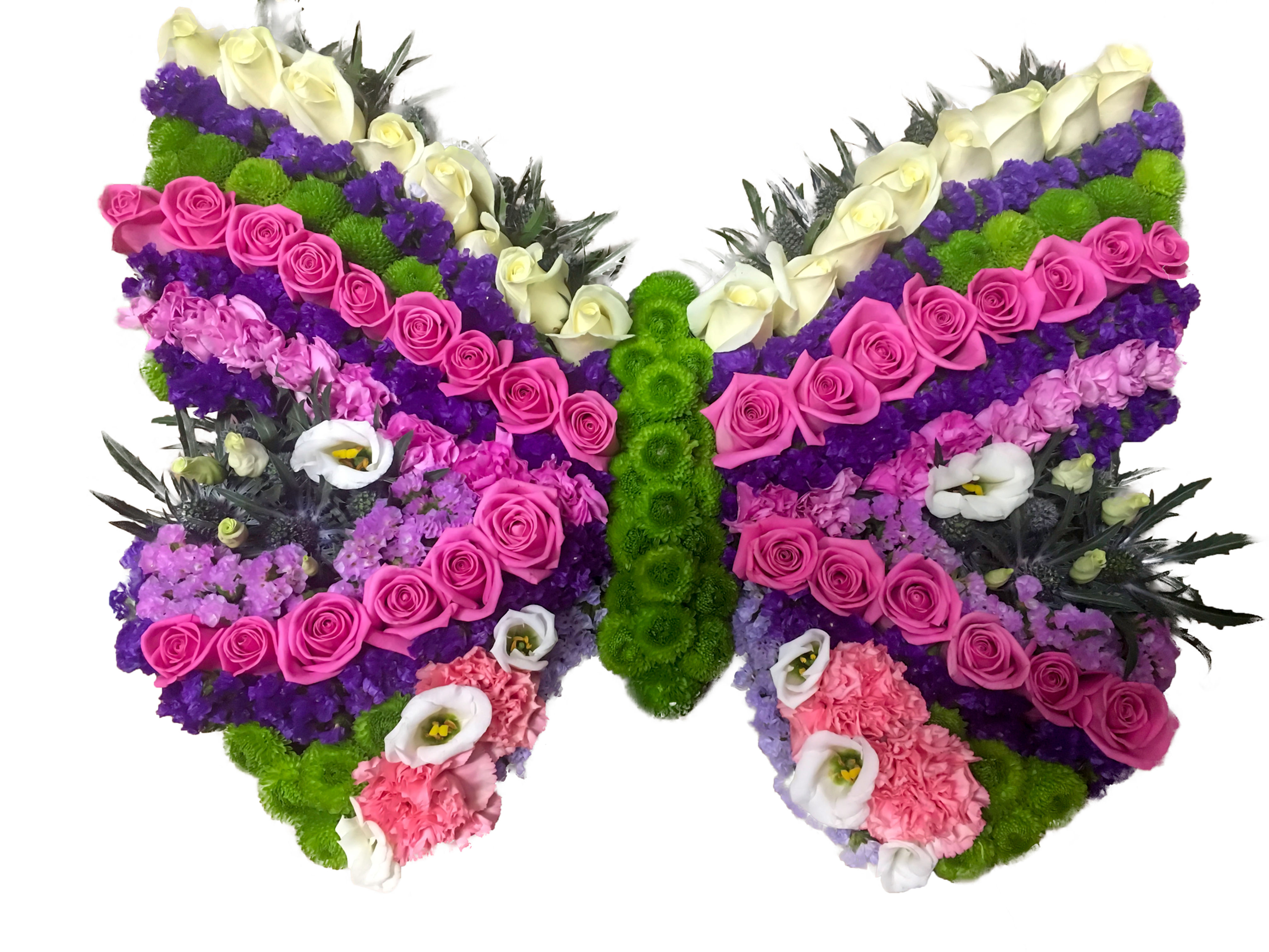 EpicFlora Butterfly Tribute Pink and Purple