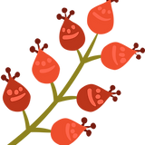 花芽