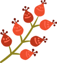 Bourgeons de fleurs