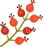 Bourgeons de fleurs