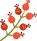 Bourgeons de fleurs