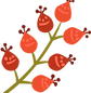 Botões de flores