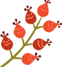 花芽