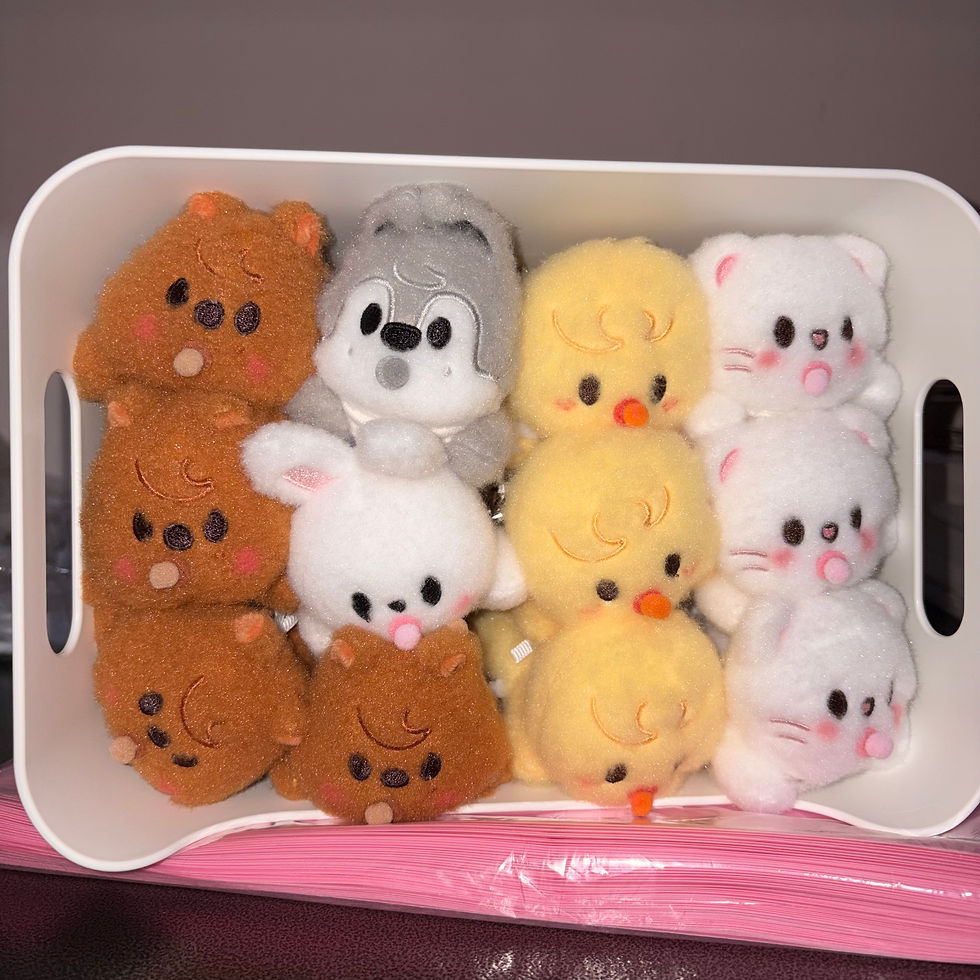 Thumbnail: Stray Kids Run It Seoul SKZOO Secret Wind Up Plush