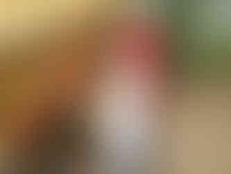 Two young boys painting a chicken coop red