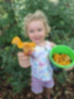 Child with blonde curls holds up a chanterelle mushroom in a forest, smiling. Wearing a butterfly shirt and striped shorts, holding a green bucket of mushrooms.