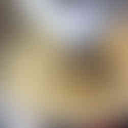 electric mixer, hook attachment, mixing dough