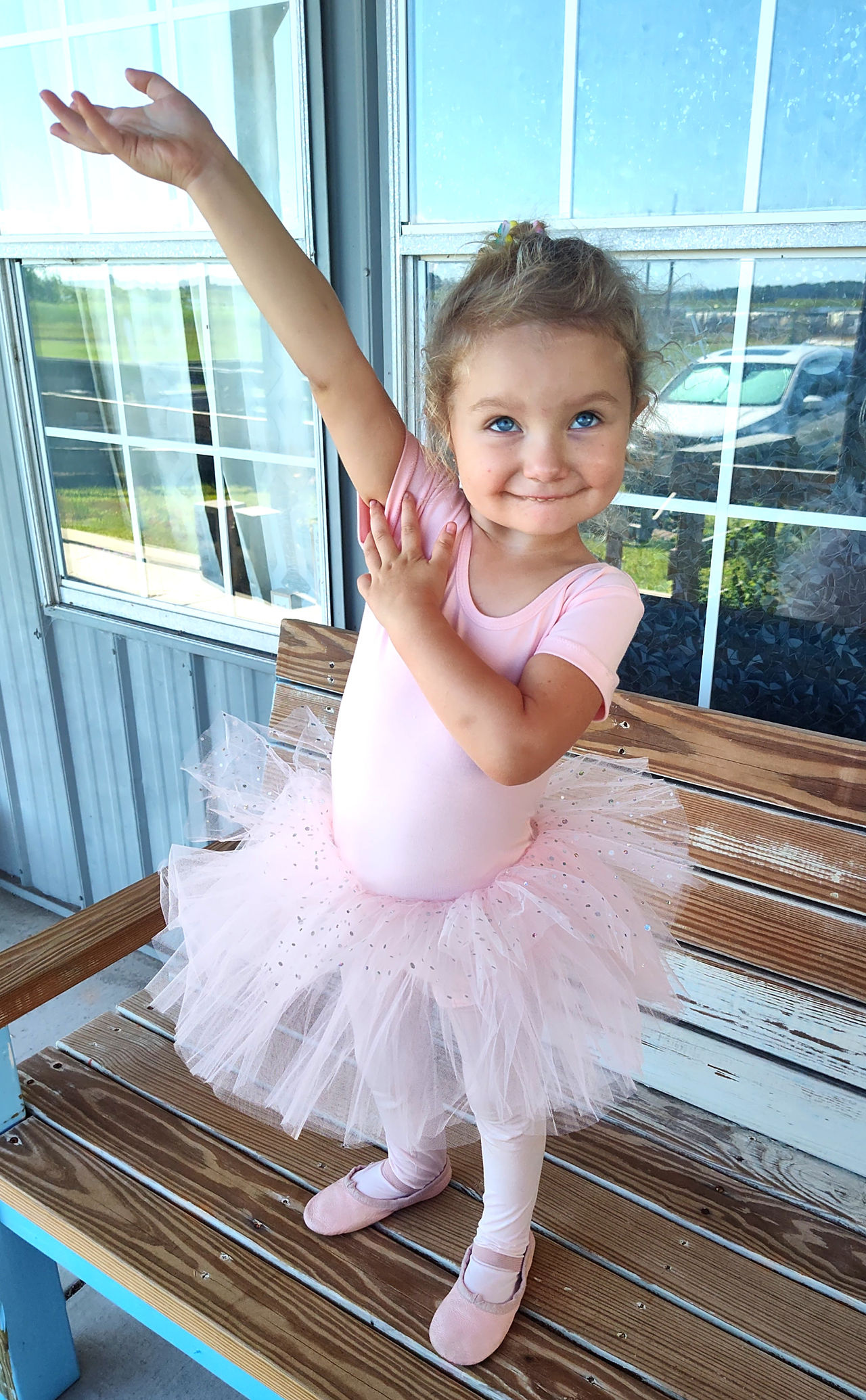 little girl in a pink dress and ballet shoes 