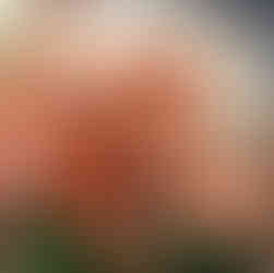 bowl with smoke salmon