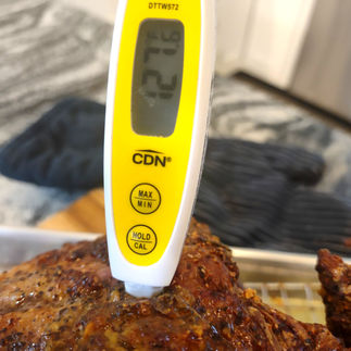 meat with thermometer 