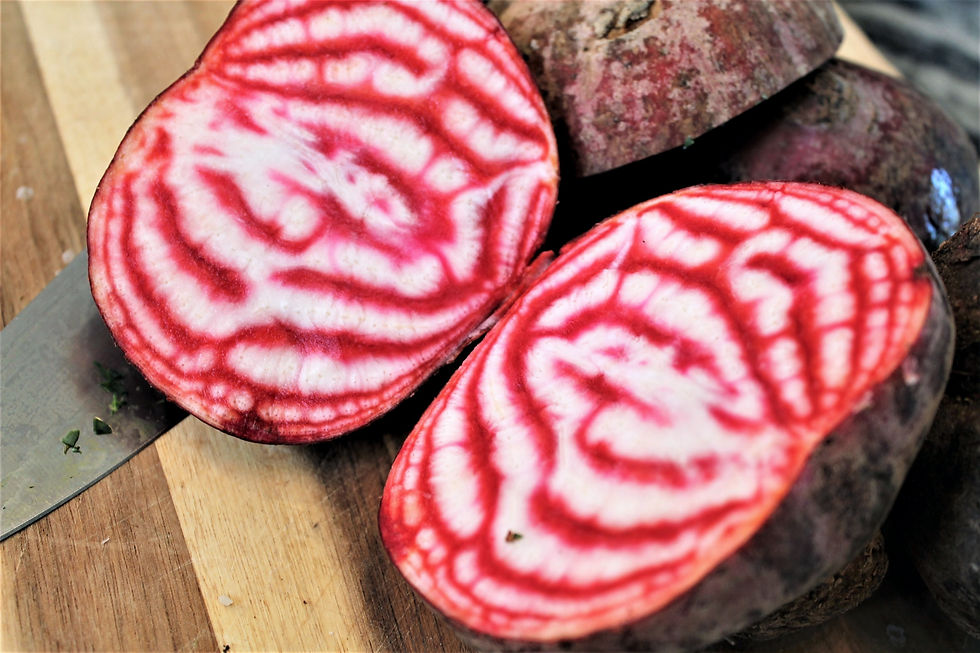 Candy pink beets