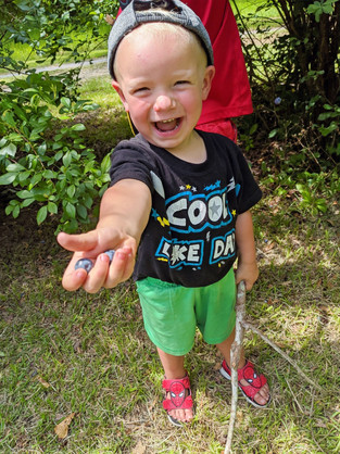 Small boy holding out a handful of blueberries with a huge smile