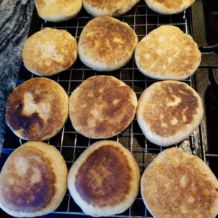 Homemade sourdough English muffins cooling on a cooling rack