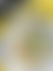 Classic Tahini Sauce (SHORTS)